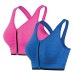 Ladies Sports Bra